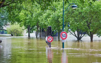 Géomètre-expert : une profession vitale dans la gestion des catastrophes