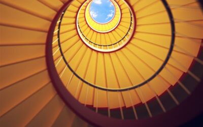 Transformation, innovation et excellence : l’OGE voit toujours plus grand pour 2025 !