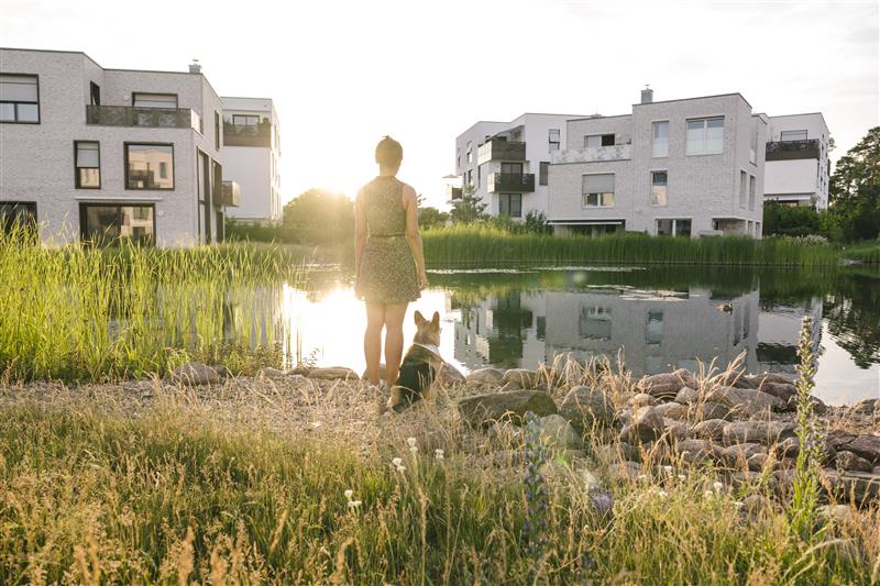 L’Ordre des géomètres-experts, un acteur qui s’affirme sur la question du logement