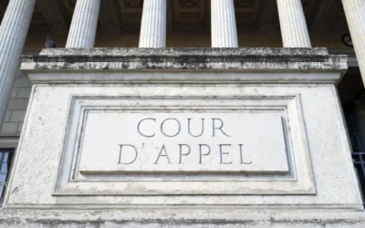 Expert judiciaire : le rôle méconnu du géomètre-expert